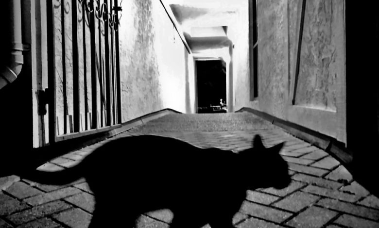 Stocks: Friday the 13th brings global selloff as AI fear grips markets Stocks: Friday the 13th brings global selloff as AI fear grips markets