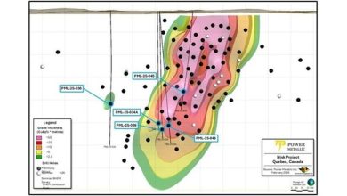 Power Metallic Intercepts 20.40 Meters of 4.11% CuEqRec in Hole 25-046, and 8.60 Meters of 6.84% CuEqRec in Hole 25-045 at Lion