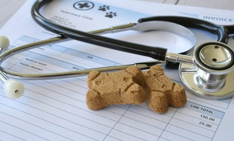 An 11-Month-Old Chihuahua Needs A K Surgery, So Its Owners Are Canceling Their Annual Vacation. Dave Ramsey Offers A Surprising Perspective