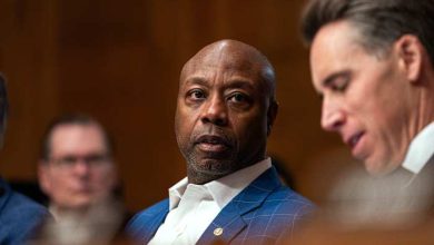 Republicans rarely criticize Trump in his second term. A racist post briefly changed that