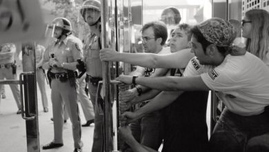 Catherine Opie’s “To Be Seen” and The Politics of Photography