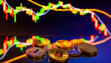 Crypto Erases Post-Election Surge as Bitcoin Price Hits 2024 Lows