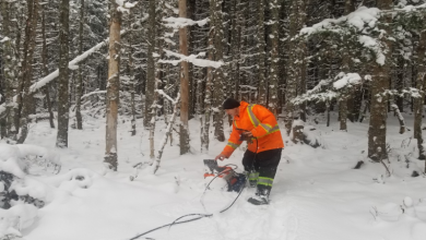 Chilean Metals – Bass River North JV Completes PEM Geophysics Program at Bass River – CastleReagh Project