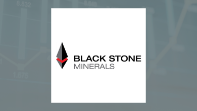 Black Stone Minerals Q4 Earnings Call Highlights