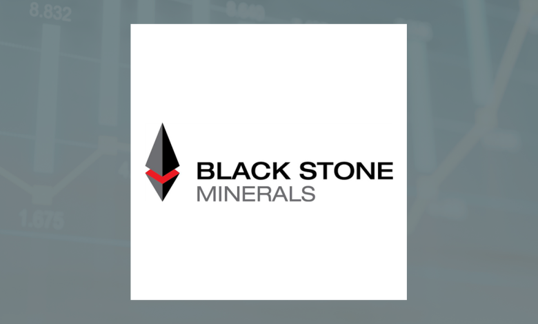 Black Stone Minerals Q4 Earnings Call Highlights