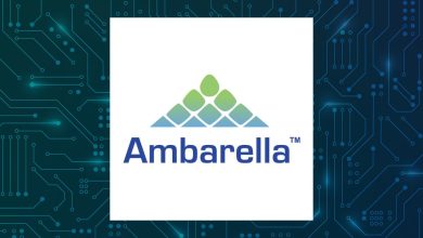Ambarella Q4 Earnings Call Highlights