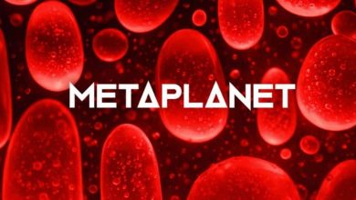 Metaplanet posts 1M loss after Bitcoin valuation swing