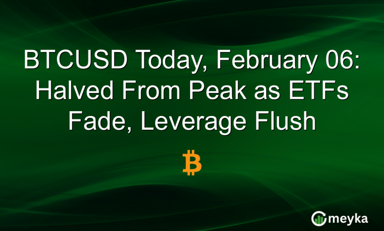 BTCUSD Today, February 06: Halved From Peak as ETFs Fade, Leverage Flush
