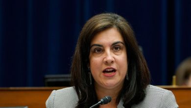 Rep. Malliotakis appeals to stay decision on redistricting
