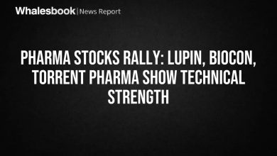 Lupin, Biocon, Torrent Pharma Show Technical Strength