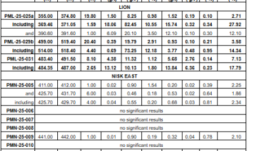 User | chroniclejournal.com – Power Metallic Intercepts 4.40 Meters of 12.18% Cu (14.34% CuEqRec) included within 20.40 Meters of 2.91% Cu (3.58% CuEqRec) in Hole 25-029b at Lion, and Completes the Extension of PN-24-064 to define large off-hole BHEM anomaly