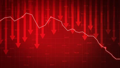 SENSEX tanks 2,354 pts, NIFTY50 below 24,600 in noon deals; Pharma shares, MCX among buzzing stocks