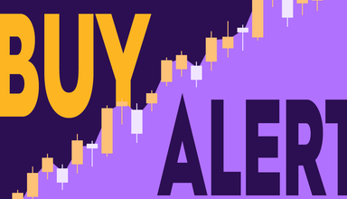 Is Recent IPO Stock Bob’s Discount Furniture a Buy After a VP Scooped Up 15,000 Shares?