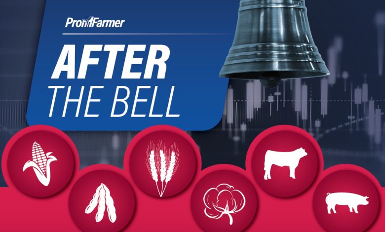 After the Bell | Firm cash cattle trade helps push futures higher