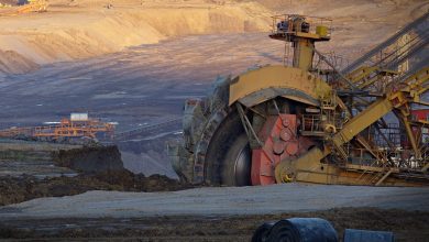 Three stocks for the portfolio