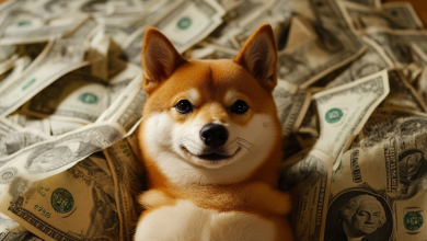 Shiba Inu Futures Market Contracts as OI Slides to 8.87 Trillion