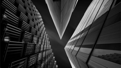 Is the US Treasury pricing in ‘rate hikes’? More precisely, the market is pricing in ‘QE’!