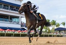 Paladin, Chief Wallabee Close at 8-1 in Derby Futures