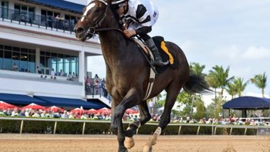 Paladin, Chief Wallabee Close at 8-1 in Derby Futures Paladin, Chief Wallabee Close at 8-1 in Derby Futures