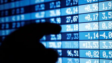 Stocks in Focus: Reliance Industries, Sun Pharma, and Others Stocks in Focus: Reliance Industries, Sun Pharma, and Others