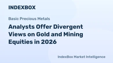 2026 Gold Outlook: Analysts Divided on Rally and Mining Stock Value – News and Statistics