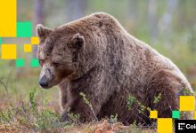 Crypto firms are ditching hundreds of workers to bet the house on AI