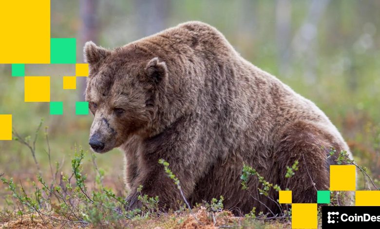 Crypto firms are ditching hundreds of workers to bet the house on AI Crypto firms are ditching hundreds of workers to bet the house on AI