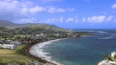 Belgian crypto billionaire offers island residents 0 a month if community project approved