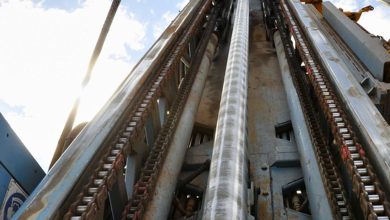 Power Metallic Mines unearths more ‘Lion style’ mineralization