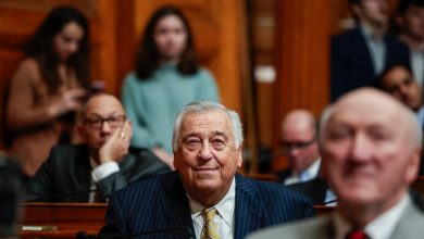 Speaker Mariano: Auditor’s push is pure politics