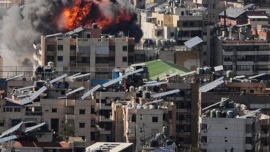 Investors warned not to chase commodity surge amid oil shock