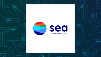SEA Q4 Earnings Call Highlights