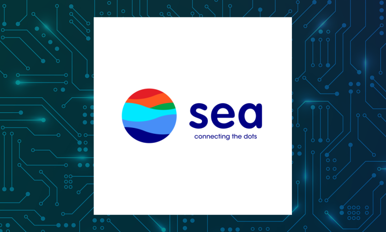SEA Q4 Earnings Call Highlights