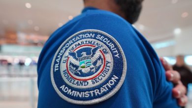 Top airline CEOs plead with Congress to restore DHS funding and pay airport workers Top airline CEOs plead with Congress to restore DHS funding and pay airport workers