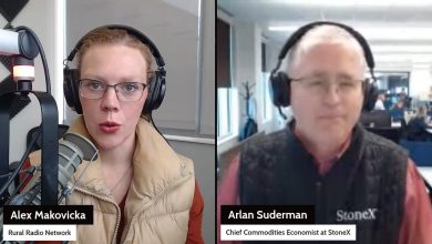 Cattle futures jump while grains stall; Analyst warns of fertilizer disruptions via Strait of Hormuz