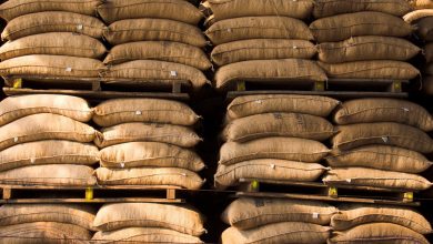Arabica coffee futures fall following bumper Brazil crop estimate