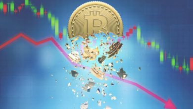 What It Means for Investors| KuCoin
