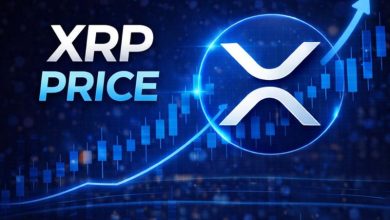 XRP Price Earns Commodity Status With Seven ETFs as the Exchange