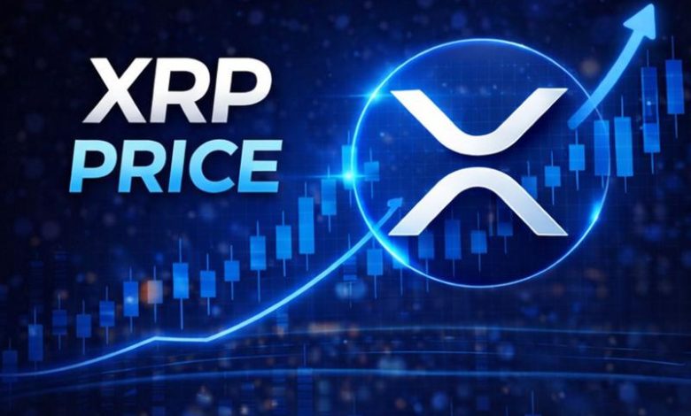 XRP Price Earns Commodity Status With Seven ETFs as the Exchange