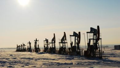 Oil and Gas Stocks Are Surging, but Nvidia Is Still Worth Double the S&P 500 Energy Sector. Are Energy Stocks Undervalued? Oil and Gas Stocks Are Surging, but Nvidia Is Still Worth Double the S&P 500 Energy Sector. Are Energy Stocks Undervalued?