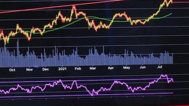 Simulations Plus stock gains momentum amid AI-driven drug discovery boom
