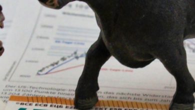 HOOKIPA Pharma Inc stock faces renewed scrutiny after failed merger and pipeline updates in biotech HOOKIPA Pharma Inc stock faces renewed scrutiny after failed merger and pipeline updates in biotech