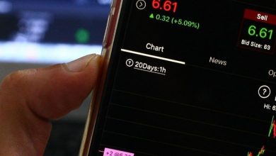 Ipca Laboratories Ltd stock hits new 52-week high amid strong earnings and analyst upgrades Ipca Laboratories Ltd stock hits new 52-week high amid strong earnings and analyst upgrades