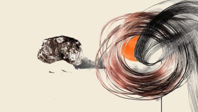 Copper futures are pulling back, here’s the level worth watching