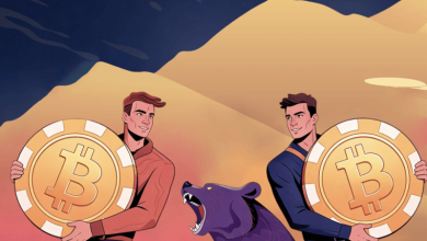 Crypto Adventure Unveils New Crypto Casinos Page to Help Users Compare Top Platforms Crypto Adventure Unveils New Crypto Casinos Page to Help Users Compare Top Platforms