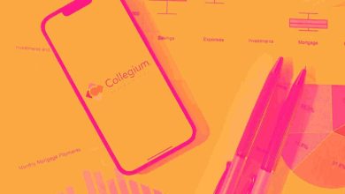 Branded Pharmaceuticals Stocks Q4 Recap: Benchmarking Collegium Pharmaceutical (NASDAQ:COLL) Branded Pharmaceuticals Stocks Q4 Recap: Benchmarking Collegium Pharmaceutical (NASDAQ:COLL)