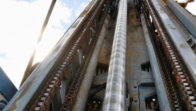 Power Metallic Mines unearths more ‘Lion style’ mineralization