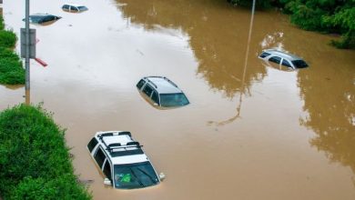 What’s the outlook for Cat bonds in 2026? What’s the outlook for Cat bonds in 2026?