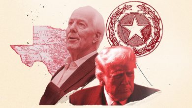 Trump Is Expected to Endorse Cornyn