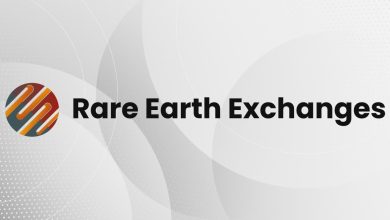 China’s Rare Earth Giant Taps Bond Market for Cheap Capital